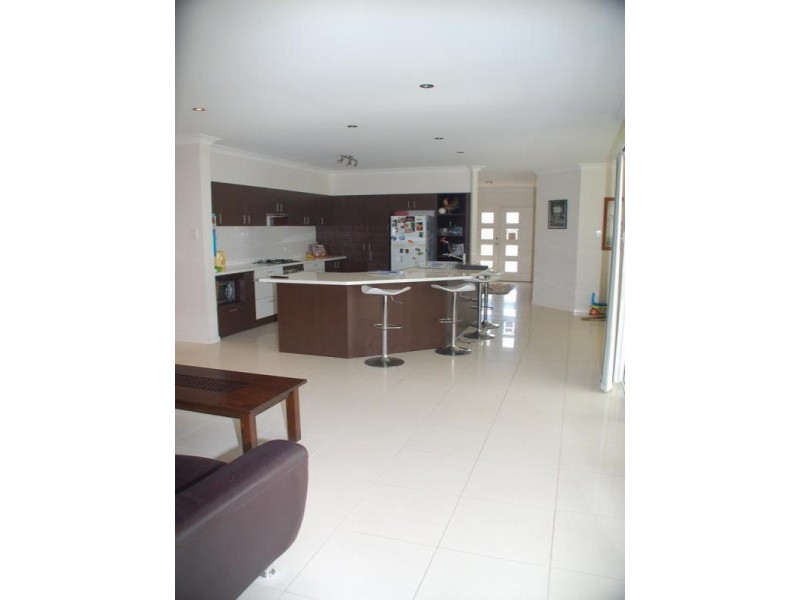 8 Toolangi Court, Upper Coomera QLD 4209