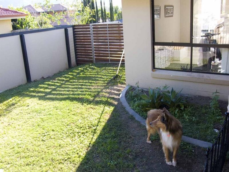 13 Paddy Place, Oxenford QLD 4210