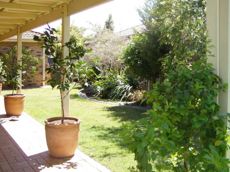 23 Audrey Avenue, Helensvale QLD 4212