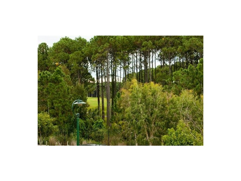 66 Palladium Boulevard, Hope Island QLD 4212