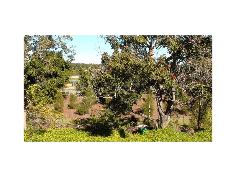 27 Jingella Street, Hope Island QLD 4212