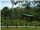 27 Seagreen Drive, Coomera QLD 4209