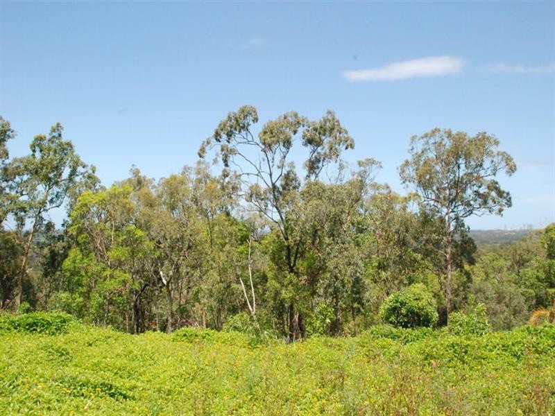 71 Highvale Drive, Helensvale QLD 4212