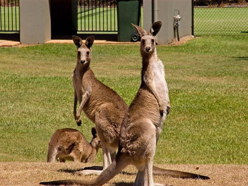 86 19 Santa Barbara Road, Hope Island QLD 4212