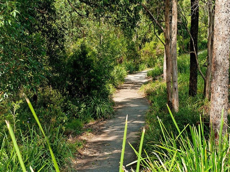 90 Treeline Circuit, Upper Coomera QLD 4209