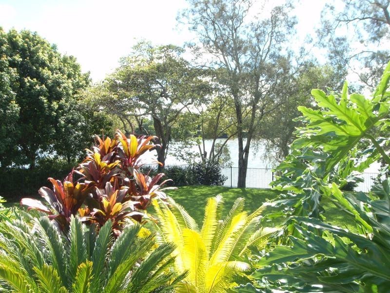 39 Northbank Court, Helensvale QLD 4212