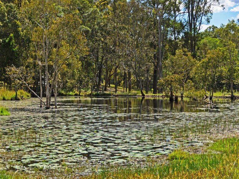 35 Bignells Road, Maudsland QLD 4210