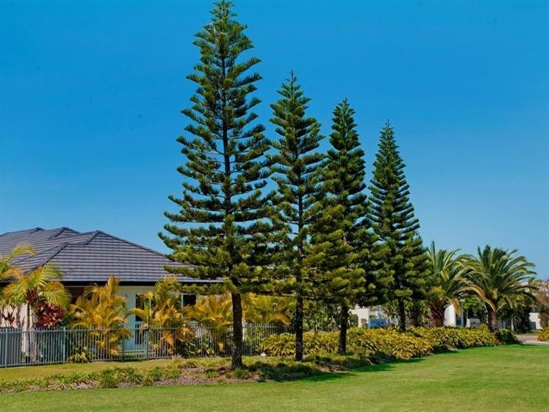 2816 Gracemere Cct East, Hope Island QLD 4212