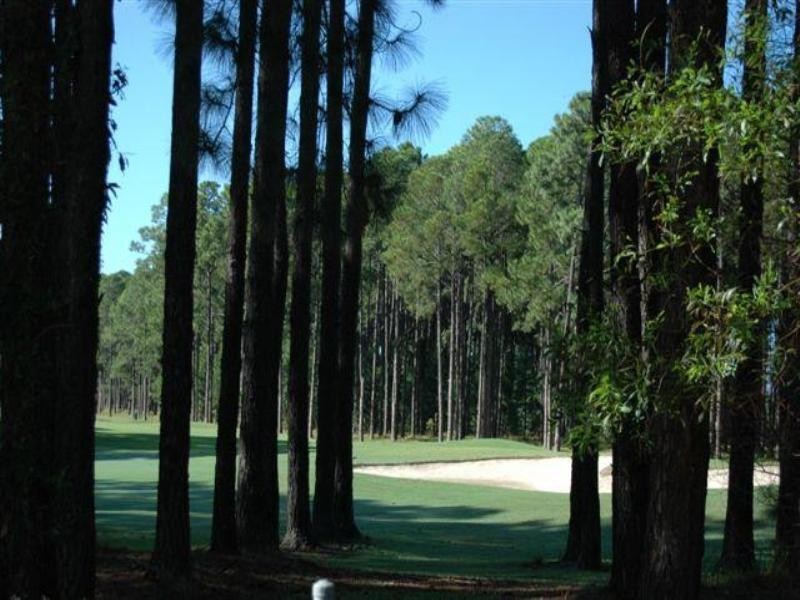 11 Banksia Lakes, Sanctuary Cove QLD 4212