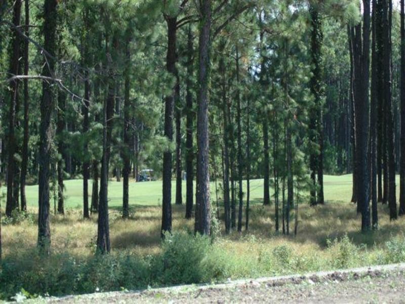 11 Banksia Lakes, Sanctuary Cove QLD 4212