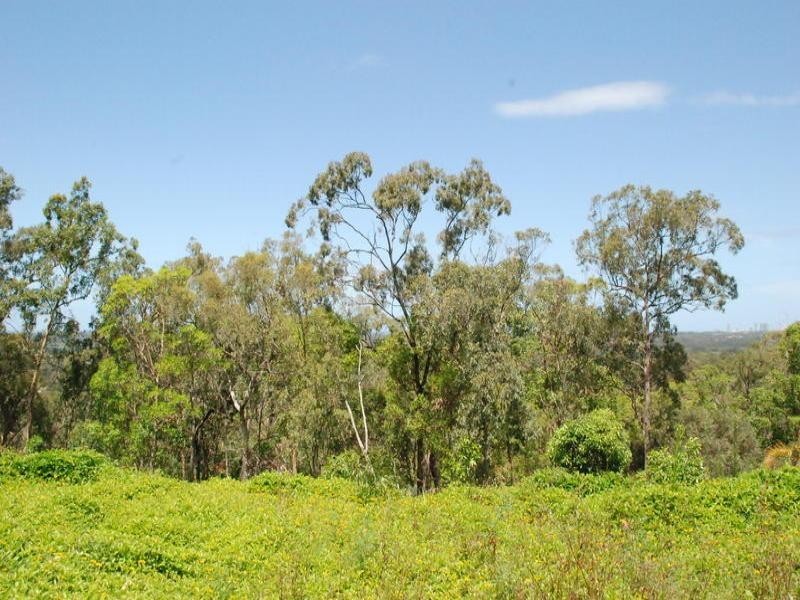 71 Highvale Drive, Helensvale QLD 4212