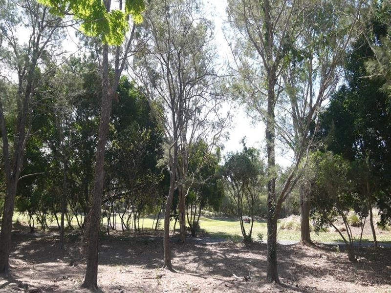 8215 Magnolia Drive West, Hope Island QLD 4212