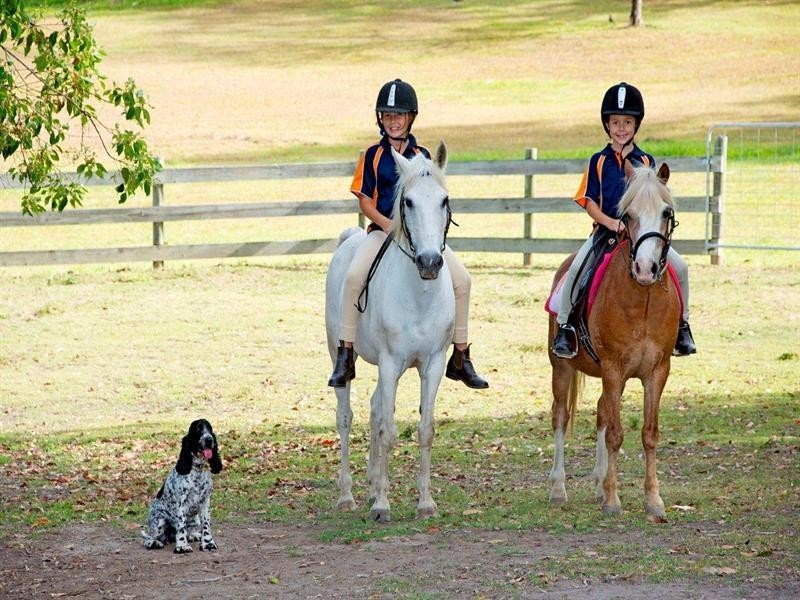 23 Brentwood Terrace, Oxenford QLD 4210