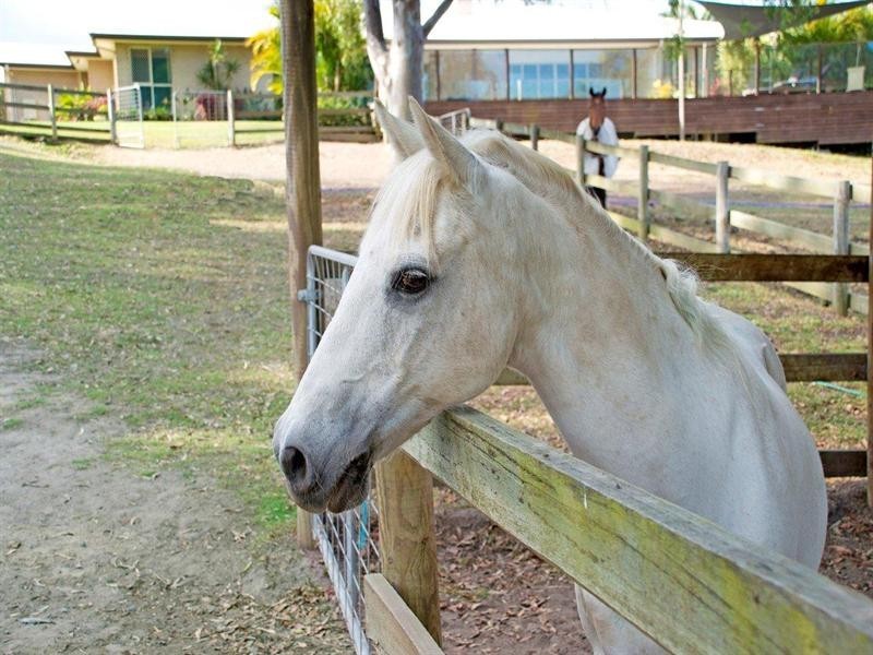 23 Brentwood Terrace, Oxenford QLD 4210