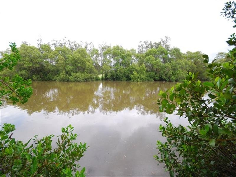 82 Rivertree Avenue, Helensvale QLD 4212