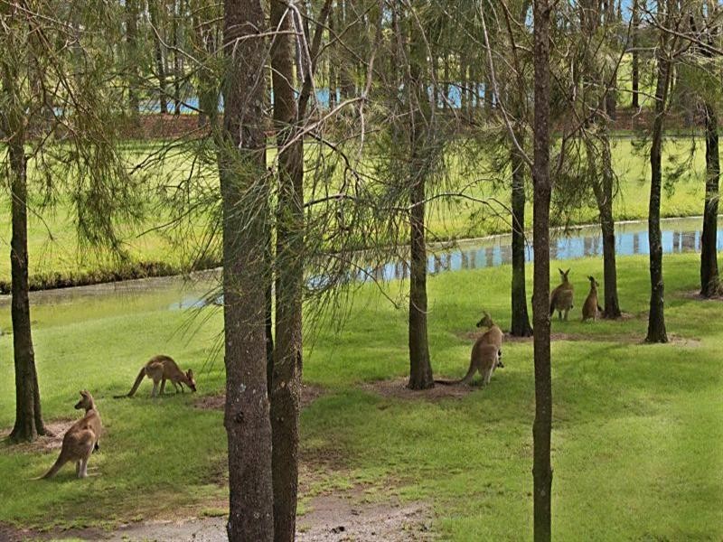 32 Rhodium Crescent, Hope Island QLD 4212