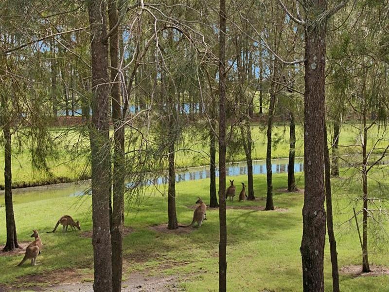 32 Rhodium Crescent, Hope Island QLD 4212