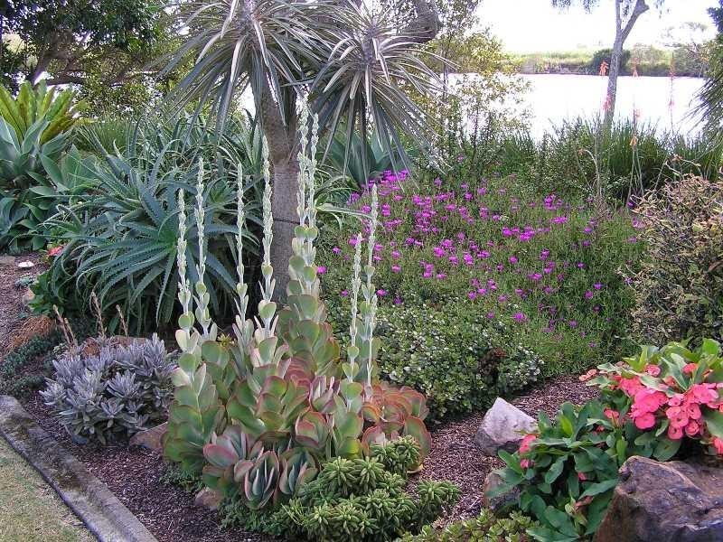 32 River Cove Place, Hope Island QLD 4212