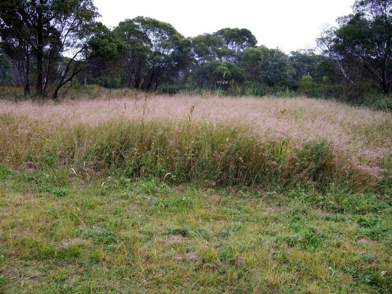 16 Assorted Blocks, Russell Island QLD 4184
