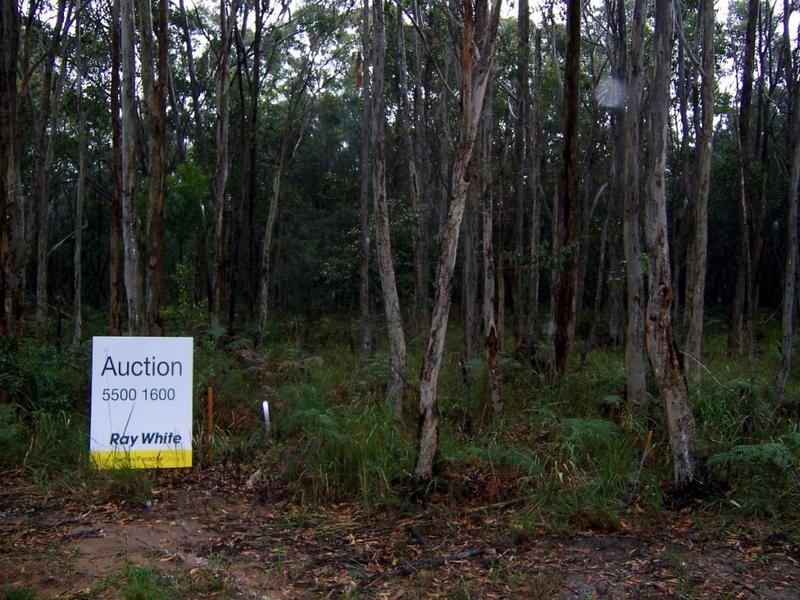 16 Assorted Blocks, Russell Island QLD 4184