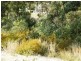 Parkwood QLD 4214