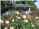 Stanthorpe QLD 4380