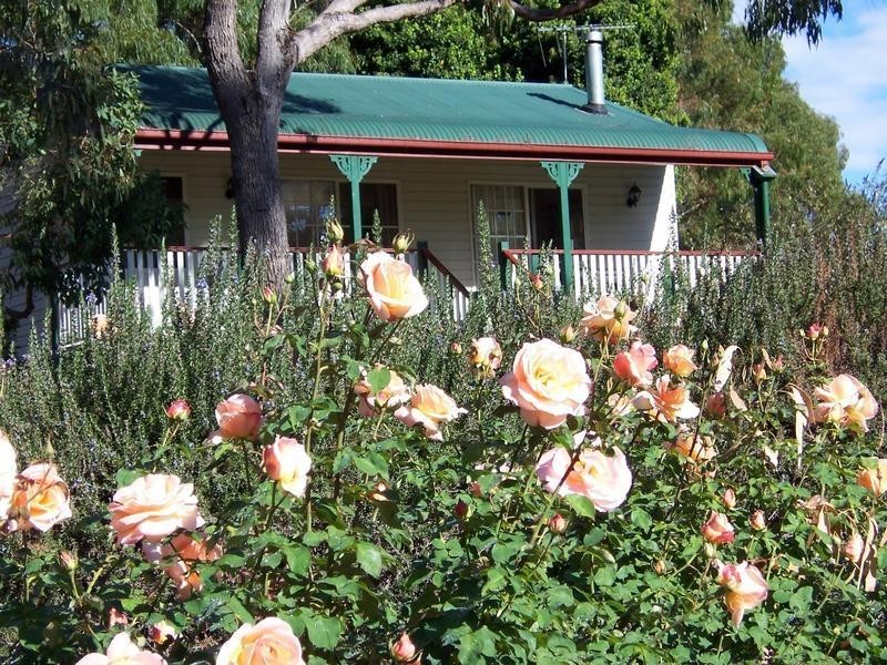 Stanthorpe QLD 4380