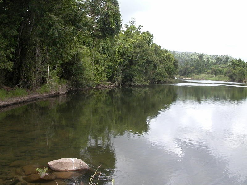 1249 Utchee Road, Utchee Creek, Mena Creek QLD 4871