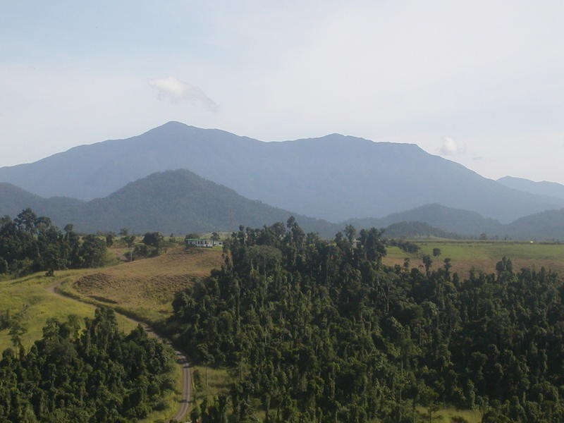 1249 Utchee Road, Utchee Creek, Mena Creek QLD 4871