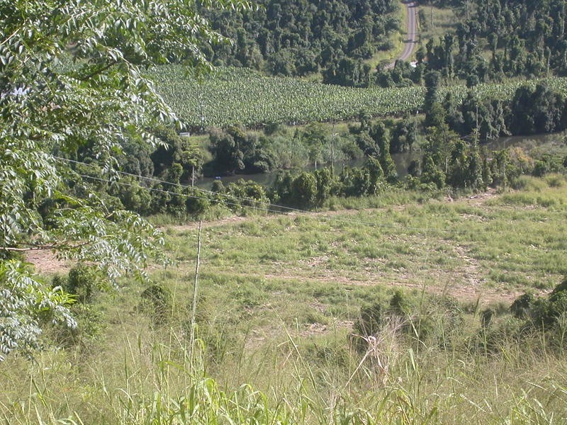 1249 Utchee Road, Utchee Creek, Mena Creek QLD 4871