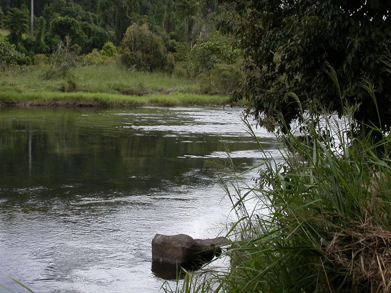 1249 Utchee Road, Utchee Creek, Mena Creek QLD 4871