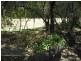 Labrador QLD 4215