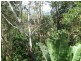 Ashmore QLD 4214