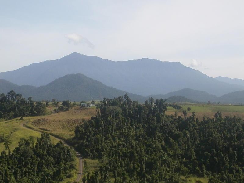 1249 Utchee Road, Utchee Creek, Innisfail QLD 4860