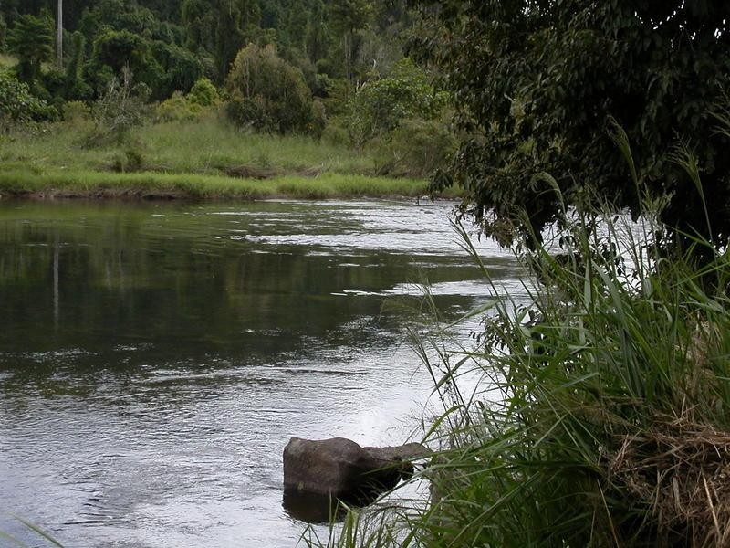 1249 Utchee Road, Utchee Creek, Innisfail QLD 4860