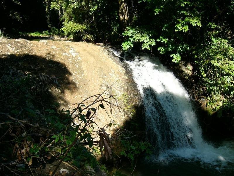 1249 Utchee Road, Utchee Creek, Innisfail QLD 4860