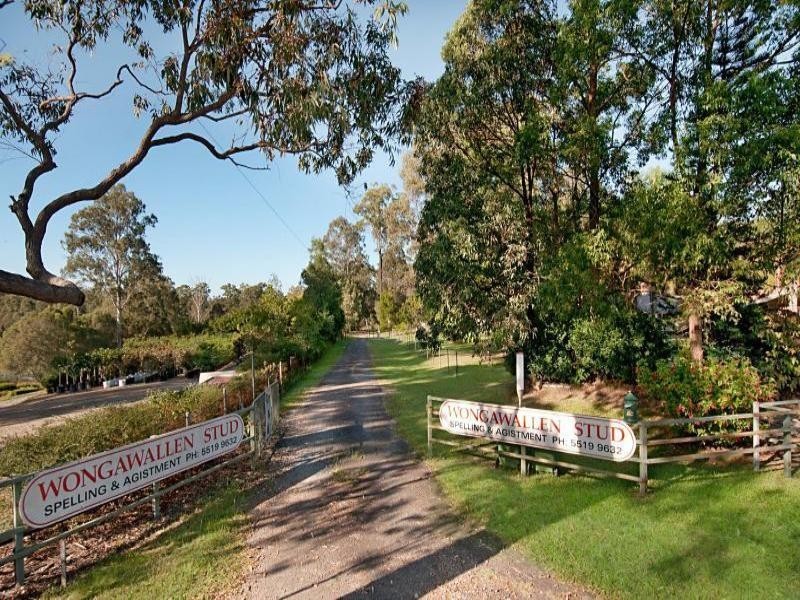 Upper Coomera QLD 4209