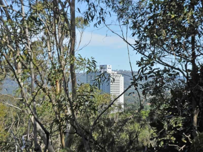 6 The Crescent, Ashmore QLD 4214