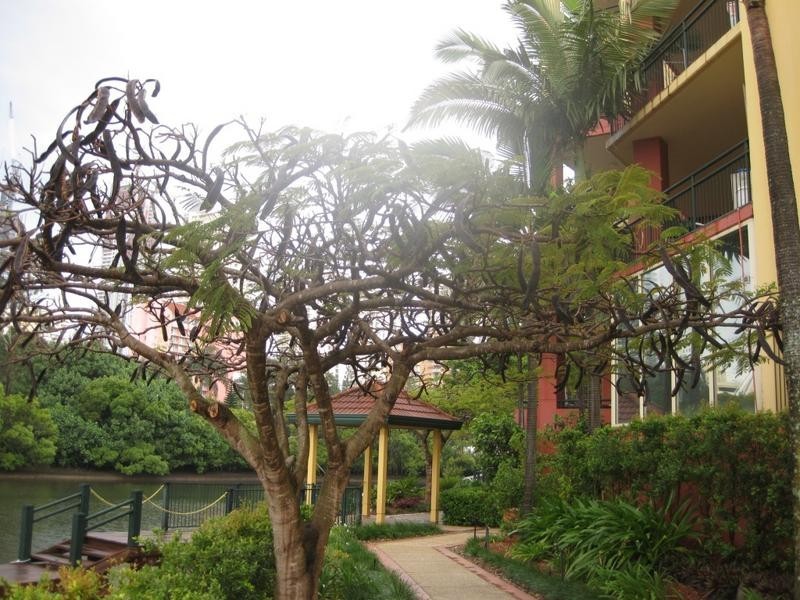 326  A&B Paradise Island Apartments.  1 Paradise Island, Surfers Paradise QLD 4217