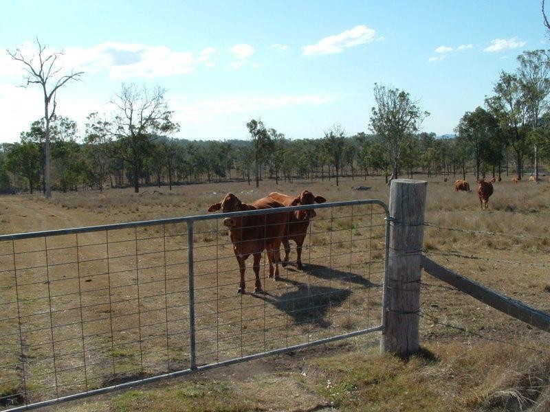 3141 Wivenhoe-Somerset Road, Crossdale QLD 4312