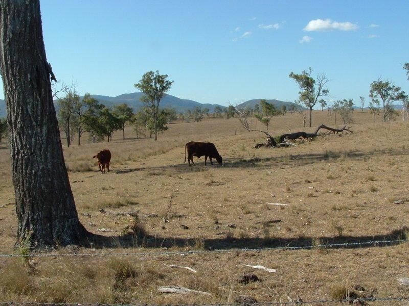 3141 Wivenhoe-Somerset Road, Crossdale QLD 4312