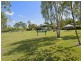 3 Girraween Grove, Ashmore QLD 4214