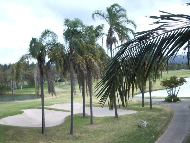 267 64 Palm Meadows Drive, Carrara QLD 4211