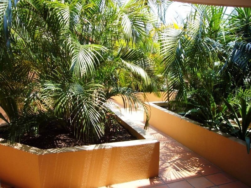 6 Chevron Palm Waters.  48 Stanhill Drive, Chevron Island QLD 4217