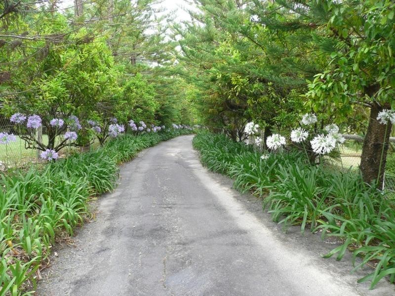 Mount Nathan QLD 4211