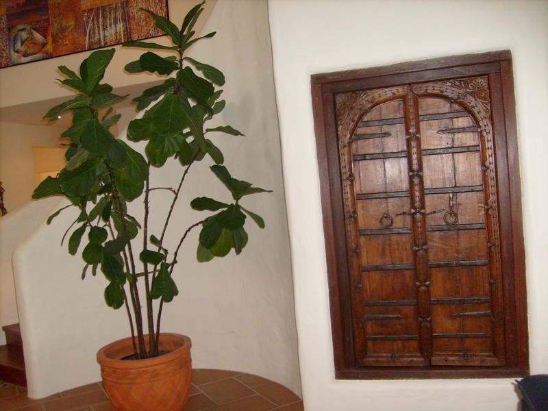 Paradise Point QLD 4216