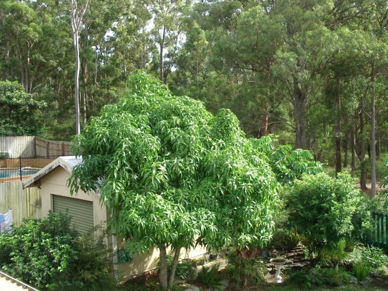 46 Horizon Avenue, Ashmore QLD 4214