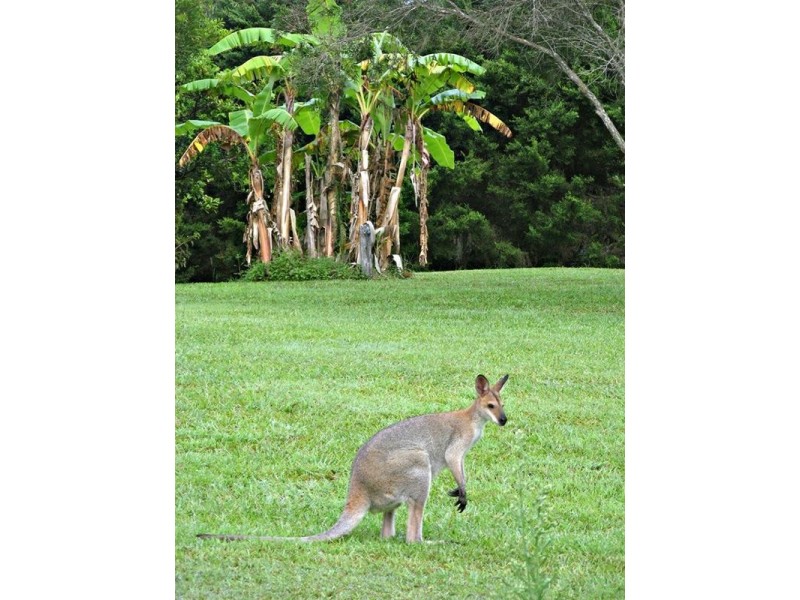 22 Bradman Drive, Currumbin Valley QLD 4223