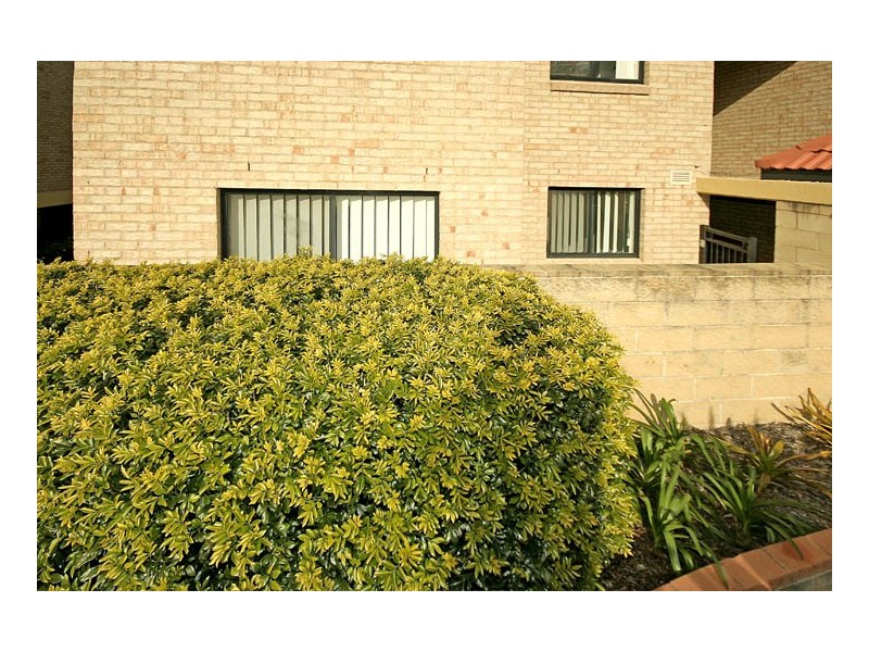 2/51-57 Railway Parade, Engadine NSW 2233