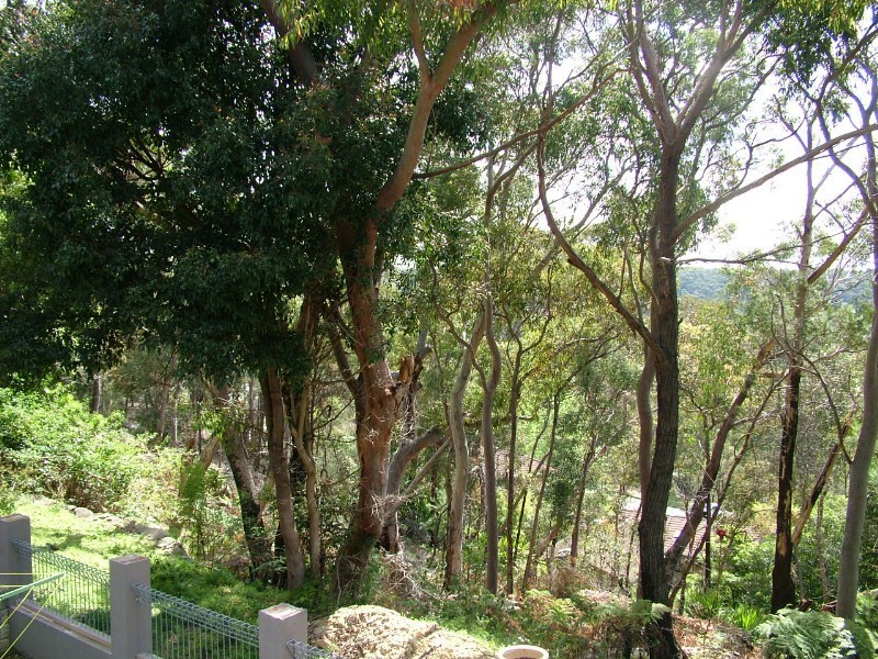 Engadine NSW 2233